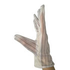 M / L no desliza guantes estáticos antis de la palma con el devolver rayado del poliéster de 10m m