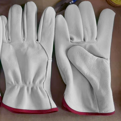 Guantes para montar en exteriores de alta calidad Guantes de cuero de vaca Guantes de entrenamiento Guantes de ciclismo
