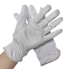 La mano blanca sudó los guantes de trabajo del poliéster del recinto limpio de la absorción modificados para requisitos particulares